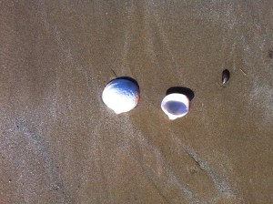 Bastia-Arromanches 1